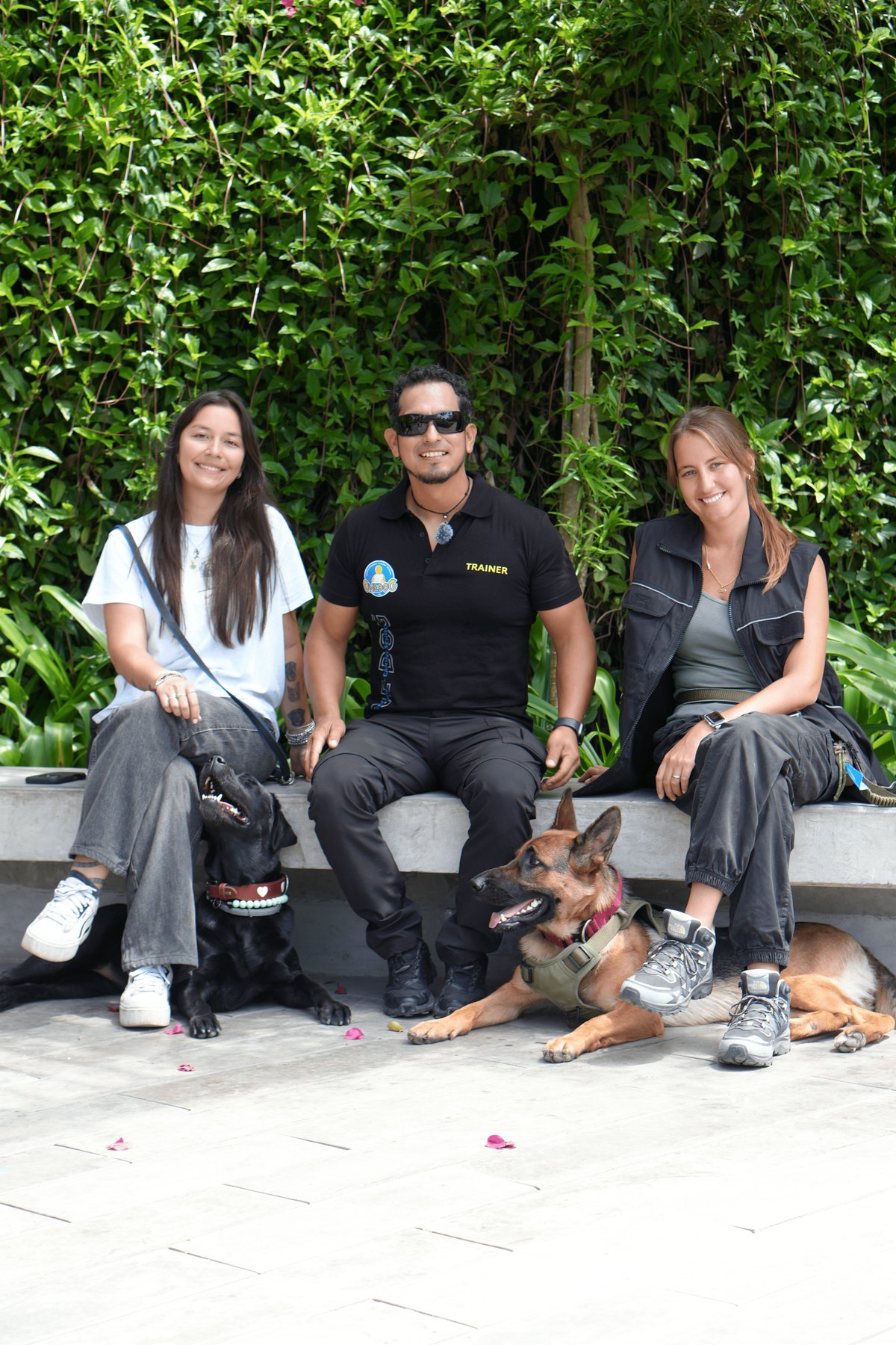 Entrenador certificado IACP durante sesión con perro