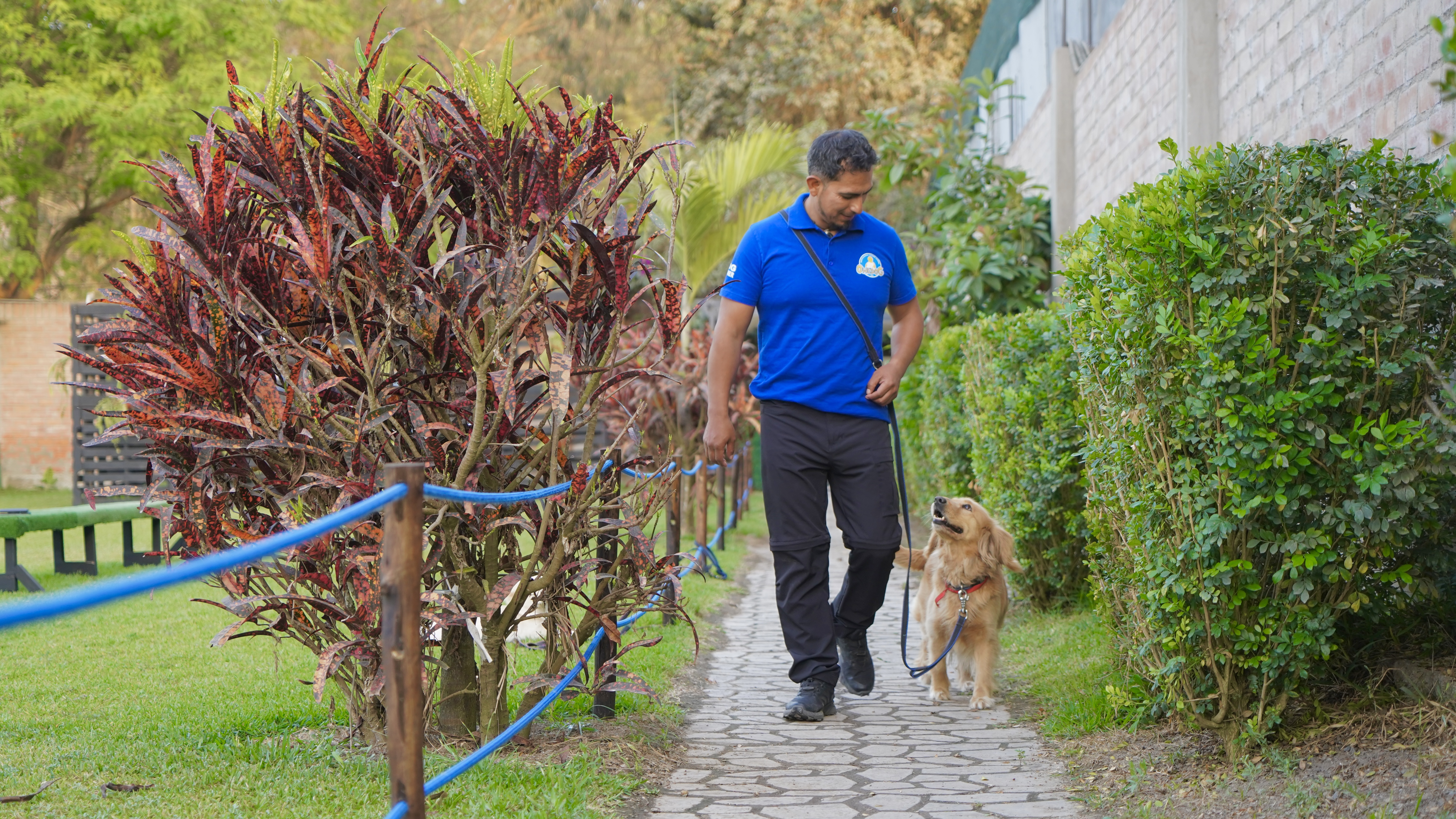 Sede Lima ONEDOG — Pachacamac