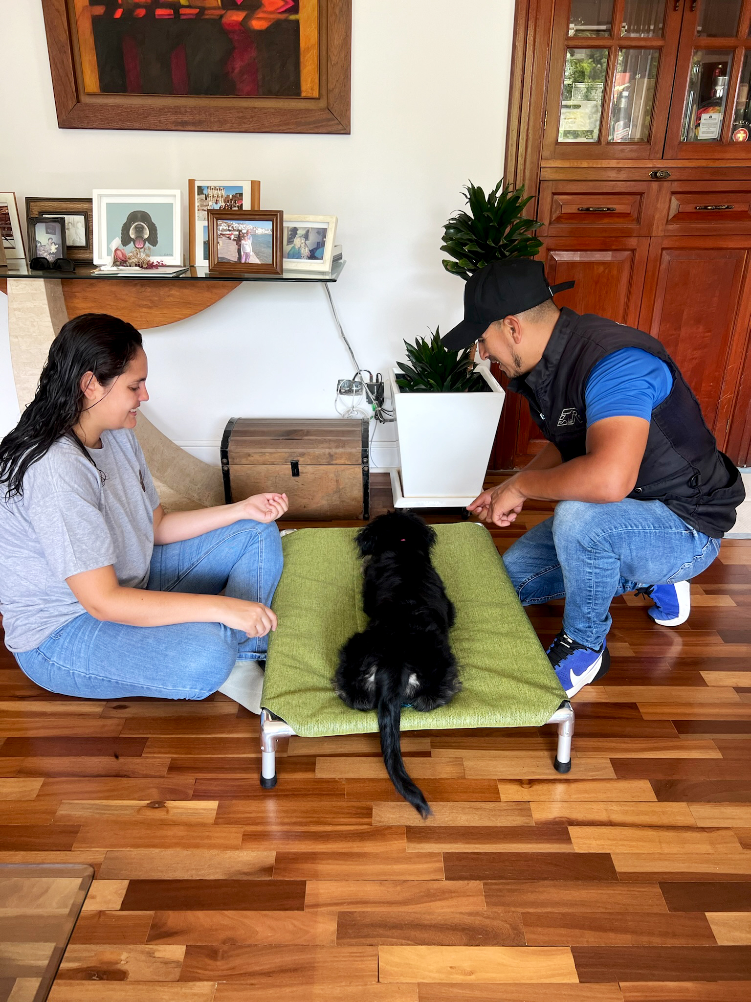 Cachorros